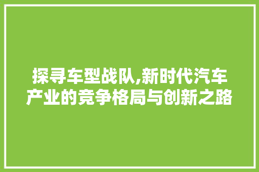 探寻车型战队,新时代汽车产业的竞争格局与创新之路