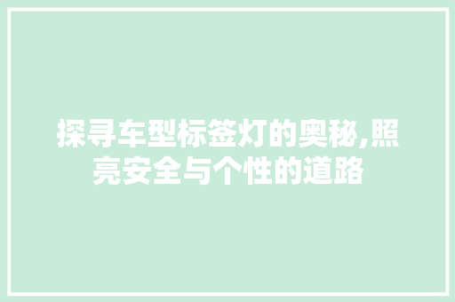 探寻车型标签灯的奥秘,照亮安全与个性的道路