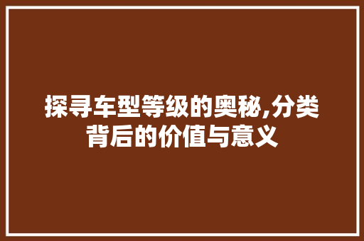 探寻车型等级的奥秘,分类背后的价值与意义