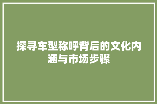 探寻车型称呼背后的文化内涵与市场步骤