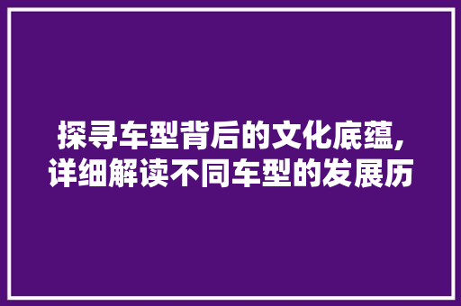探寻车型背后的文化底蕴,详细解读不同车型的发展历程与内涵