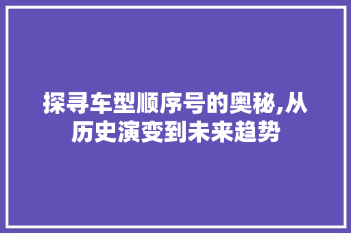 探寻车型顺序号的奥秘,从历史演变到未来趋势 车身配件