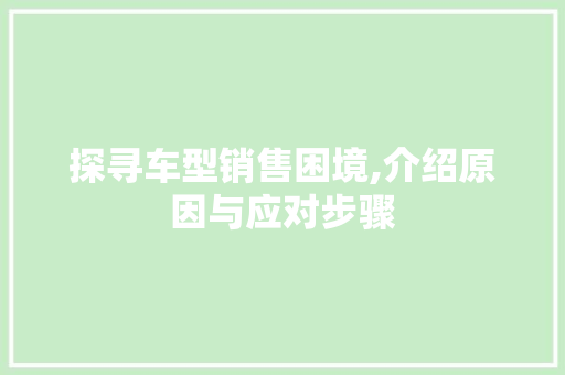 探寻车型销售困境,介绍原因与应对步骤