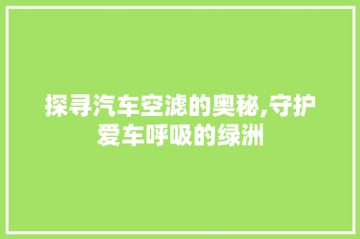 探寻汽车空滤的奥秘,守护爱车呼吸的绿洲