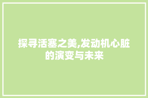 探寻活塞之美,发动机心脏的演变与未来
