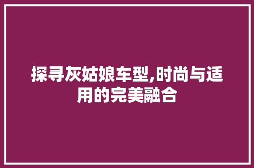 探寻灰姑娘车型,时尚与适用的完美融合