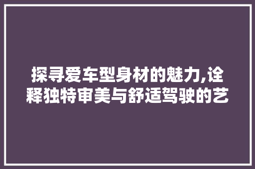 探寻爱车型身材的魅力,诠释独特审美与舒适驾驶的艺术