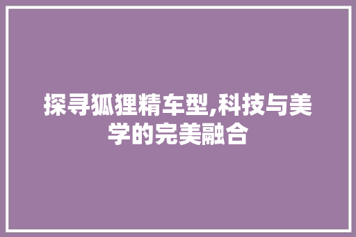 探寻狐狸精车型,科技与美学的完美融合