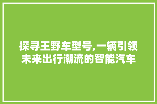 探寻王野车型号,一辆引领未来出行潮流的智能汽车