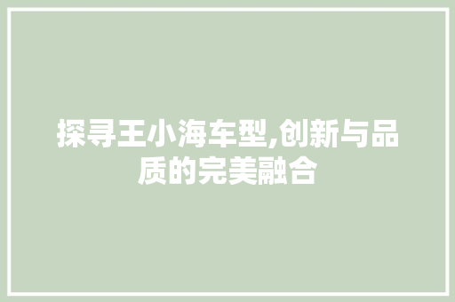 探寻王小海车型,创新与品质的完美融合