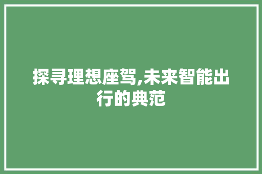 探寻理想座驾,未来智能出行的典范
