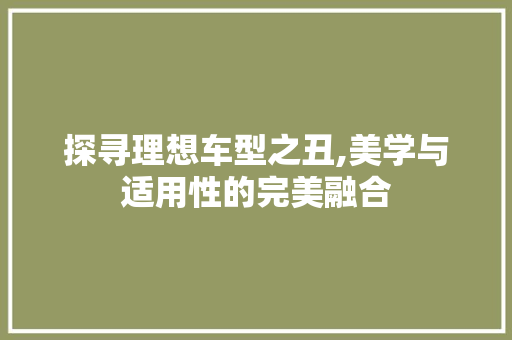探寻理想车型之丑,美学与适用性的完美融合