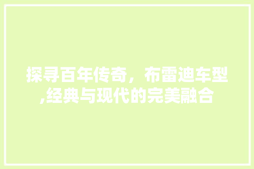 探寻百年传奇，布雷迪车型,经典与现代的完美融合