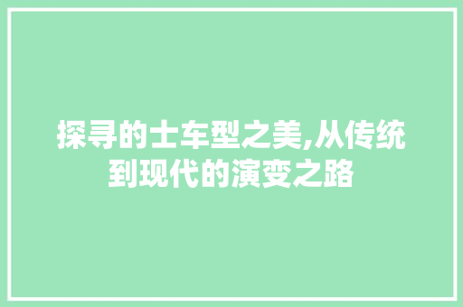 探寻的士车型之美,从传统到现代的演变之路