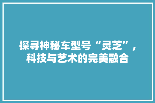 探寻神秘车型号“灵芝”,科技与艺术的完美融合
