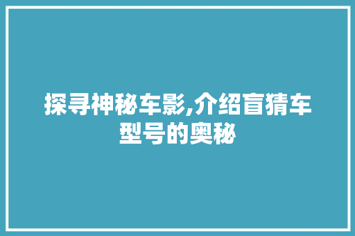 探寻神秘车影,介绍盲猜车型号的奥秘