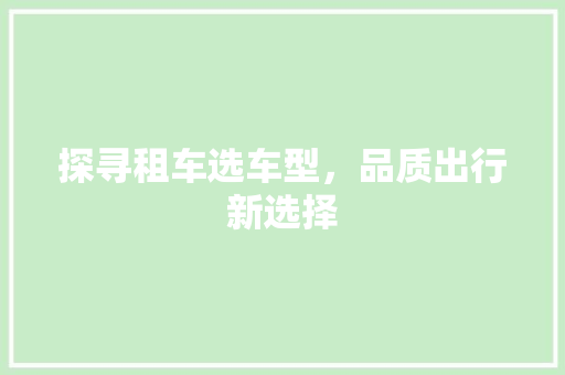 探寻租车选车型，品质出行新选择 新能源汽车