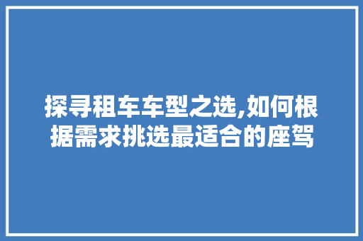 探寻租车车型之选,如何根据需求挑选最适合的座驾