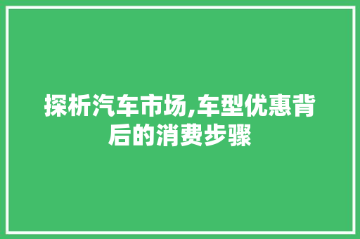 探析汽车市场,车型优惠背后的消费步骤