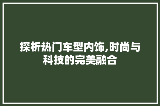 探析热门车型内饰,时尚与科技的完美融合