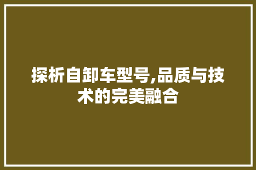 探析自卸车型号,品质与技术的完美融合