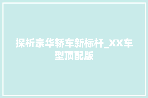探析豪华轿车新标杆_XX车型顶配版
