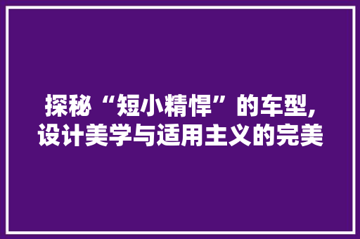 探秘“短小精悍”的车型,设计美学与适用主义的完美融合
