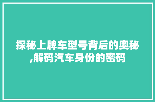 探秘上牌车型号背后的奥秘,解码汽车身份的密码