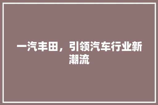 一汽丰田，引领汽车行业新潮流