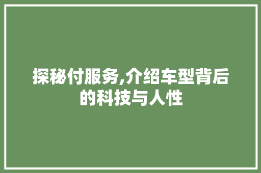 探秘付服务,介绍车型背后的科技与人性 蓄电池配件