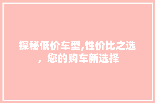 探秘低价车型,性价比之选，您的购车新选择