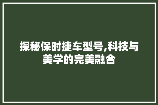 探秘保时捷车型号,科技与美学的完美融合