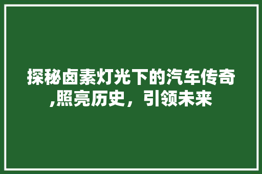 探秘卤素灯光下的汽车传奇,照亮历史，引领未来