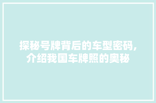 探秘号牌背后的车型密码,介绍我国车牌照的奥秘
