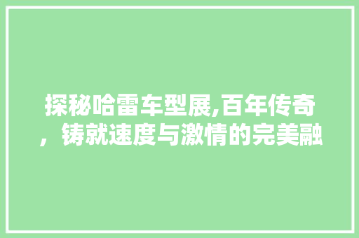 探秘哈雷车型展,百年传奇，铸就速度与激情的完美融合