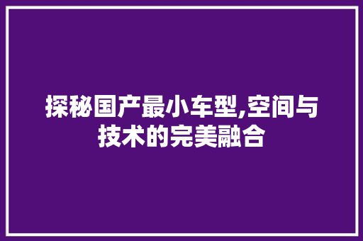 探秘国产最小车型,空间与技术的完美融合