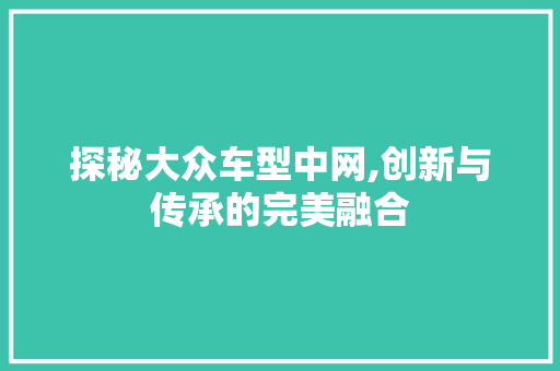 探秘大众车型中网,创新与传承的完美融合