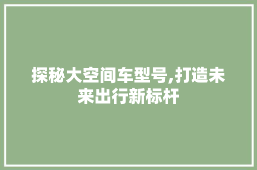 探秘大空间车型号,打造未来出行新标杆
