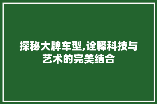 探秘大牌车型,诠释科技与艺术的完美结合 蓄电池配件