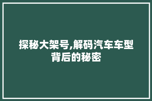 探秘大架号,解码汽车车型背后的秘密