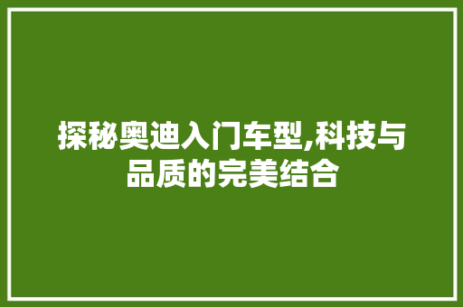 探秘奥迪入门车型,科技与品质的完美结合
