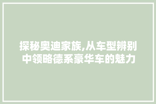 探秘奥迪家族,从车型辨别中领略德系豪华车的魅力