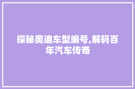 探秘奥迪车型编号,解码百年汽车传奇 底盘配件