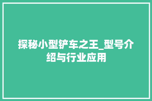 探秘小型铲车之王_型号介绍与行业应用