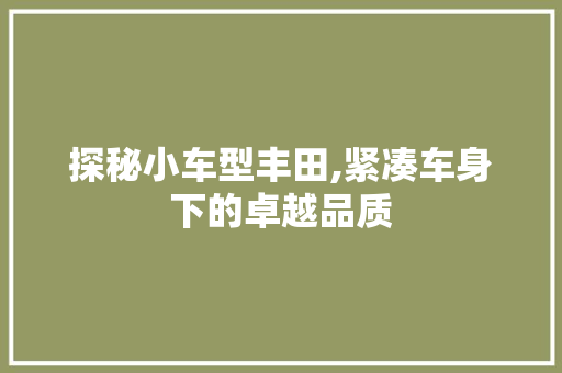 探秘小车型丰田,紧凑车身下的卓越品质