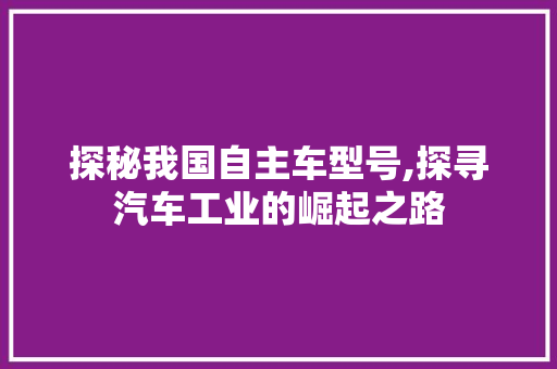 探秘我国自主车型号,探寻汽车工业的崛起之路
