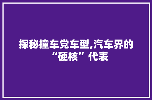 探秘撞车党车型,汽车界的“硬核”代表