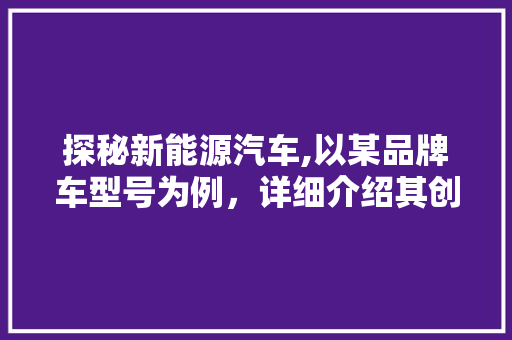 探秘新能源汽车,以某品牌车型号为例，详细介绍其创新与未来