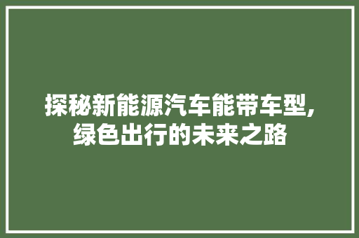 探秘新能源汽车能带车型,绿色出行的未来之路