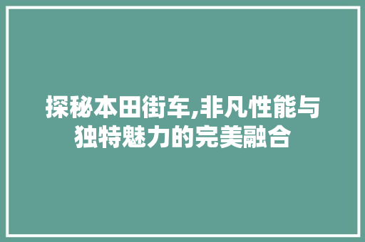 探秘本田街车,非凡性能与独特魅力的完美融合